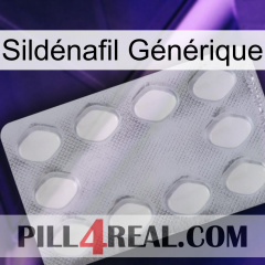 Sildénafil Générique 16